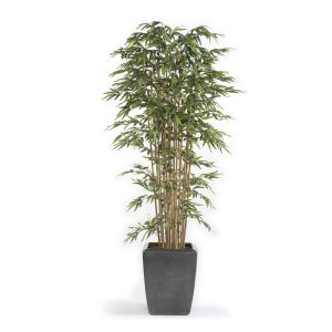 Árbol bambú artificial premium