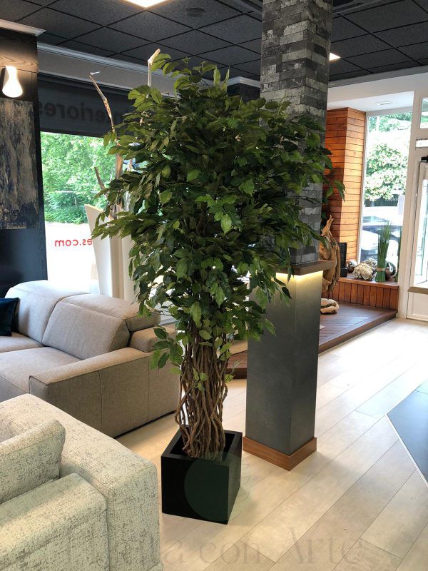 Árbol Ficus Deluxe artificial de 210 cm de altura