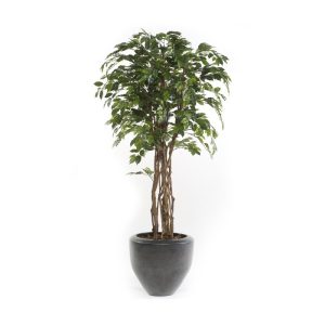 Ficus artificial ECO en dos tamaños