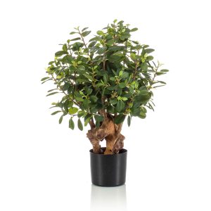 Ficus Botanic artificial de 70 cm con tronco natural de madera