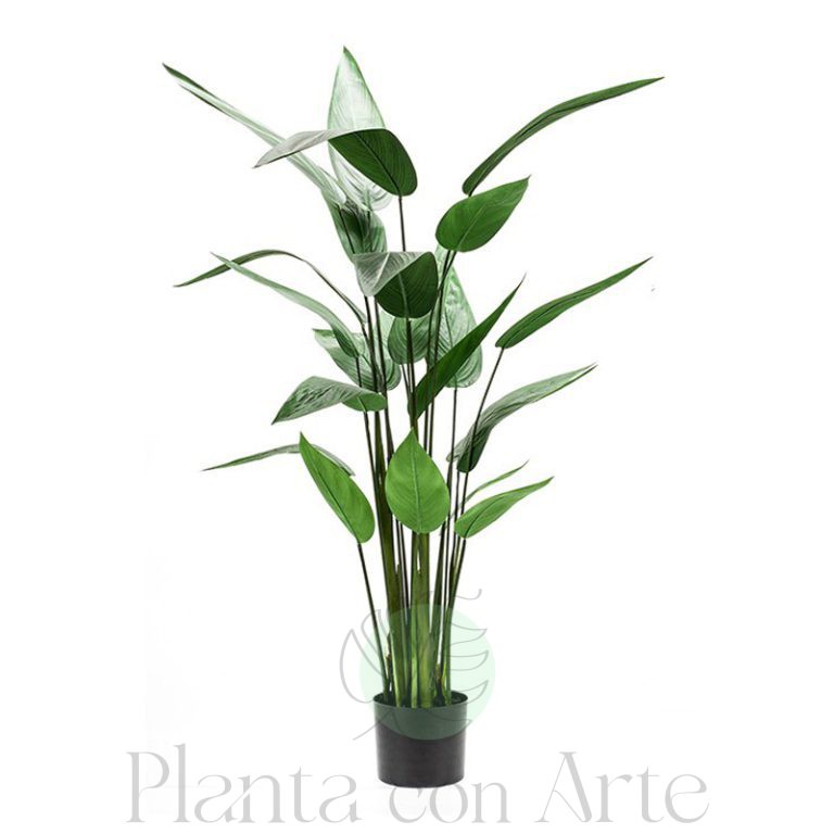 Planta HELICONIA artificial en dos alturas: 130 y 180 cm