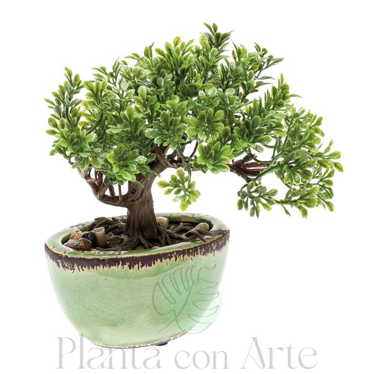 Mini Bonsái Ficus artificial
