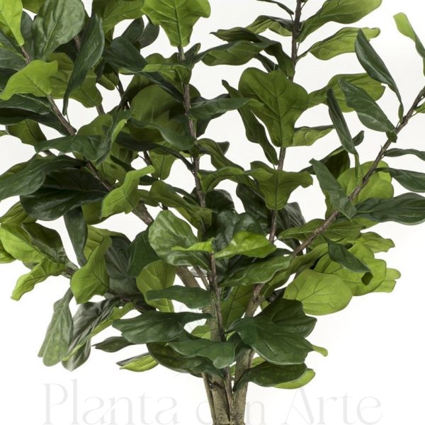 Ficus Lyrata artificial grande o lirata