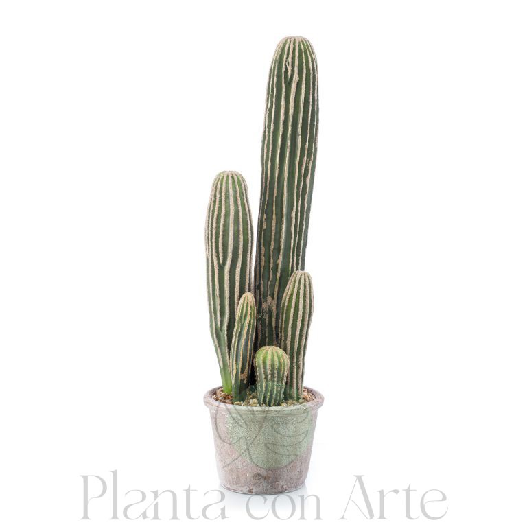 Cactus SAN PEDRO artificial de 57 cm