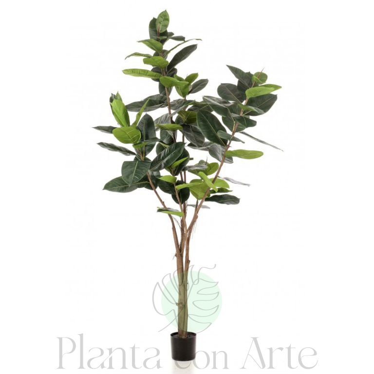 Ficus Elastic artificial de 180 cm de altura