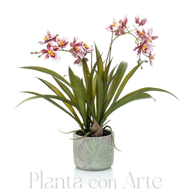 Planta de Orquídea Oncidio artificial en vaso de cerámica