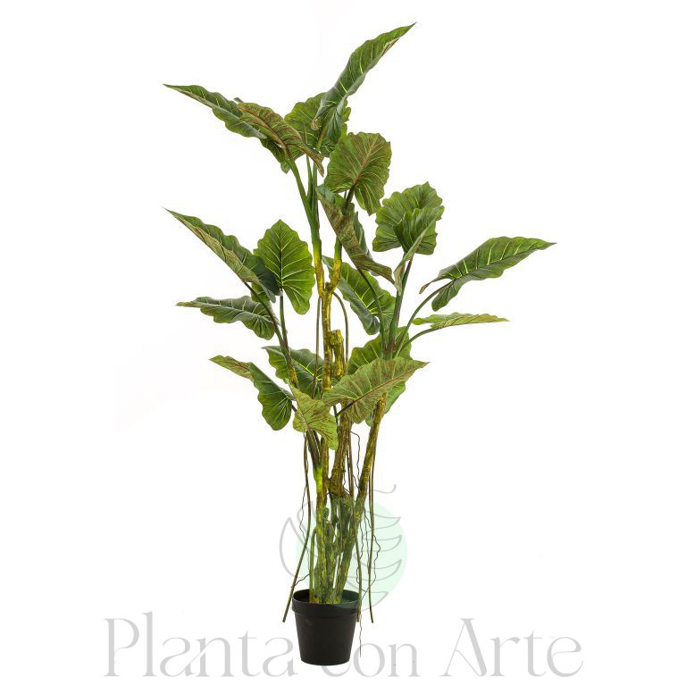 Planta COLOCASIA artificial de 195 cm de altura