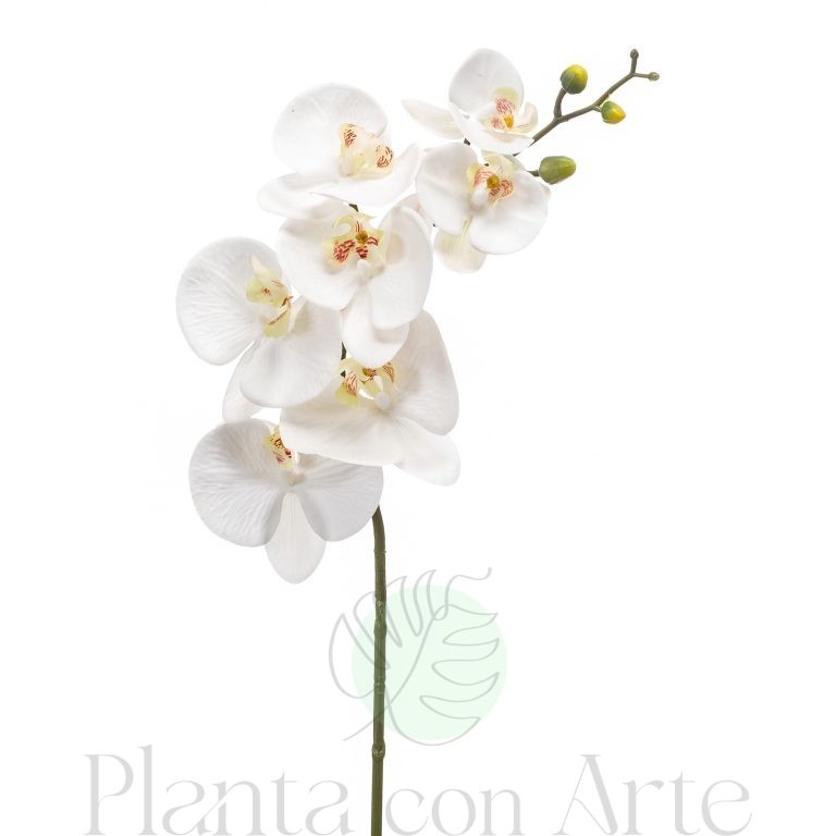 Orquídea Phalaenopsis blanca artificial de 83 cm de altura