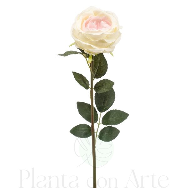 ROSA CREMA artificial de 65 cm de altura, para pinchar en espuma floral o en tierra
