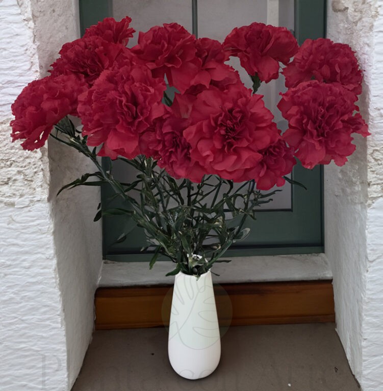 12 claveles rojos en un rincón de casa rústica