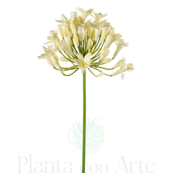 Agapanto CREMA artificial realista o AGAPANTHUS CREMA de 75 cm realista