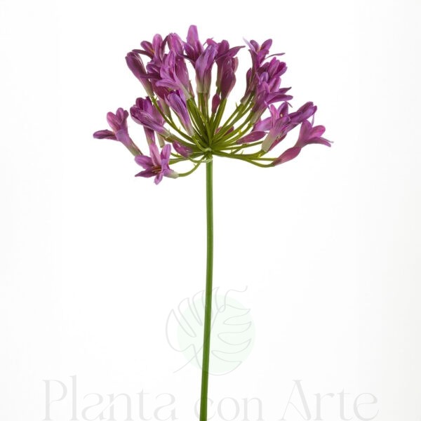 Agapanto violeta artificial de 75 cm, o agapanthus violeta artificial