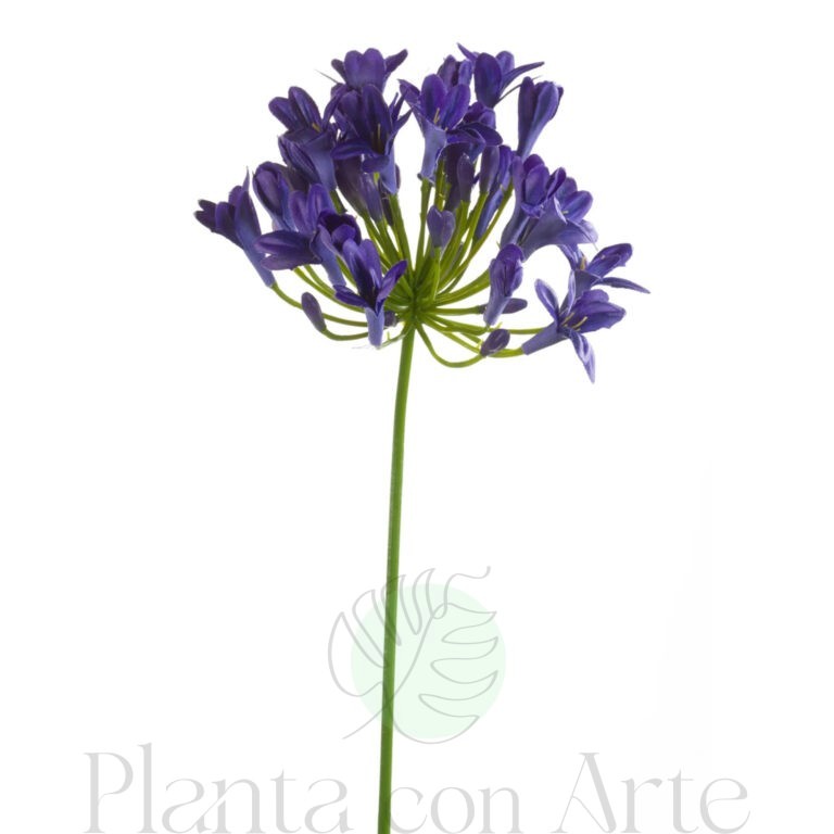 AGAPANTO AZUL artificial realista o AGAPANTHUS AZUL de 75 cm realista