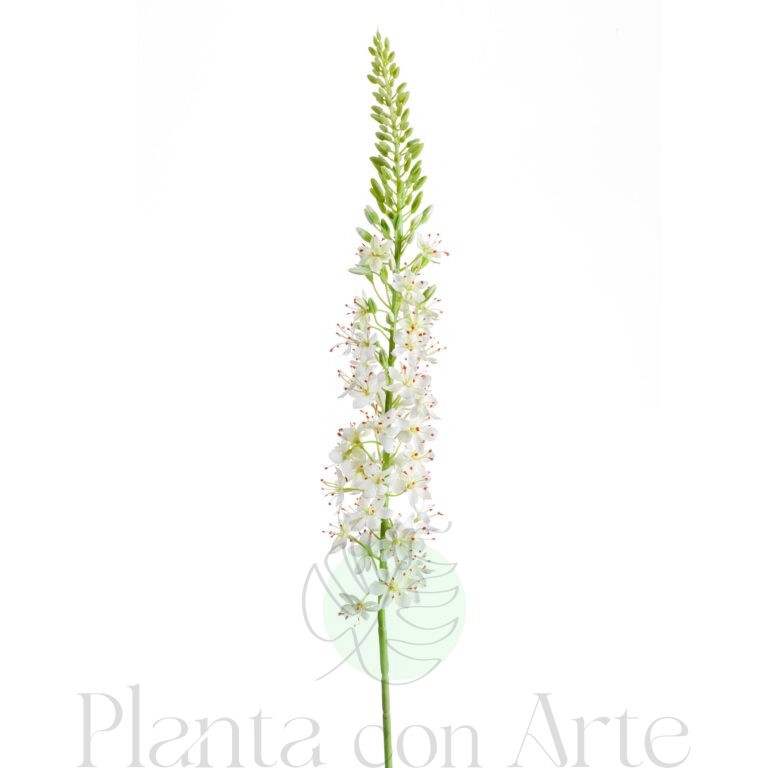 Rama de EREMURUS BLANCO con flores de color blanco artificial realista de 105 cm de altura total  muy realista, para decorar tus bouquets o jardineras