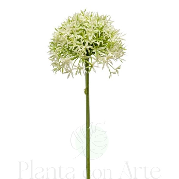 ALLIUM Crema / Verde artificial realista, con 62 cm de altura total