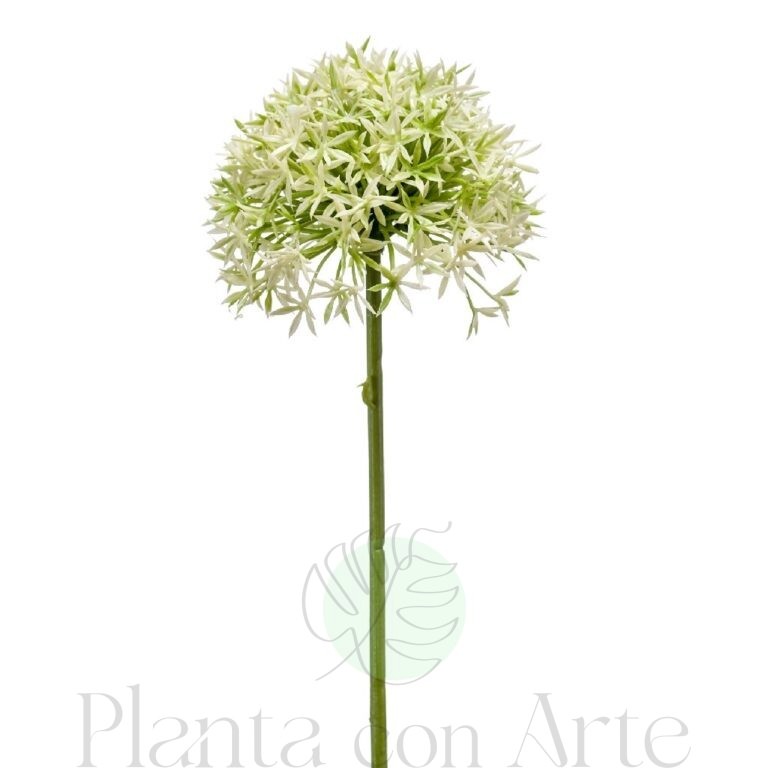 ALLIUM Crema / Verde artificial realista, con 62 cm de altura total