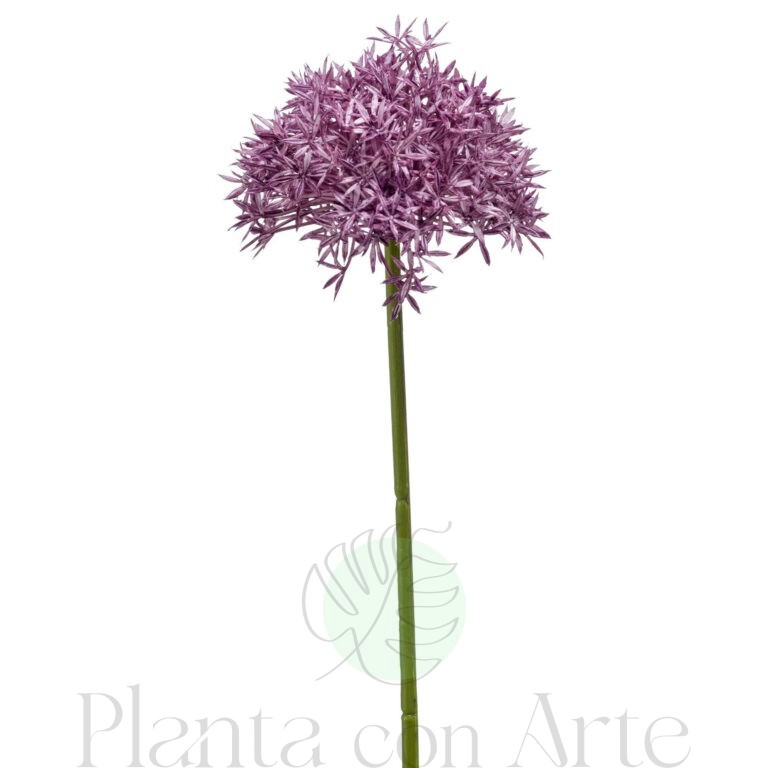 ALLIUM MALVA artificial realista, con 62 cm de altura total, para decorar tus bouquets o jardineras