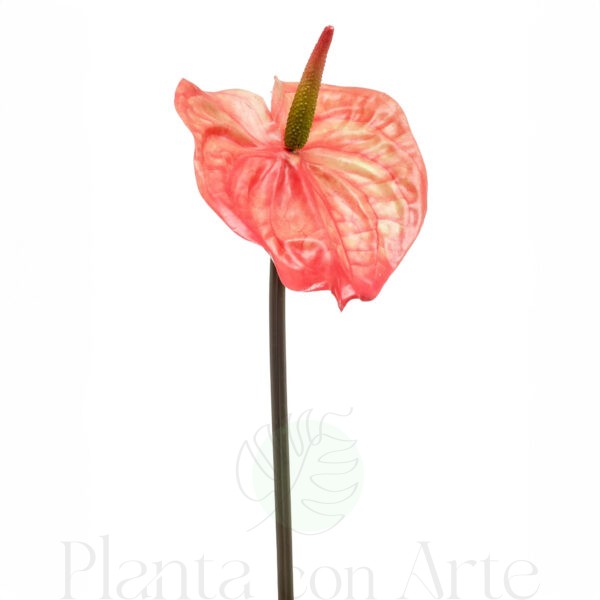 ANTURIO NARANJA artificial realista de 65 cm de altura total realista, para decorar tus bouquets o jardineras