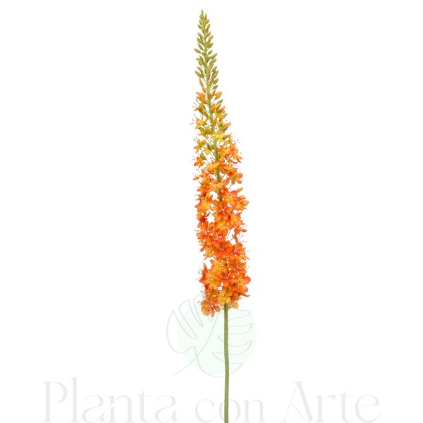 Rama de EREMURUS NARANJA XL con flores de color blanco artificial realista de 130 cm de altura total muy realista, para decorar tus bouquets o jardineras