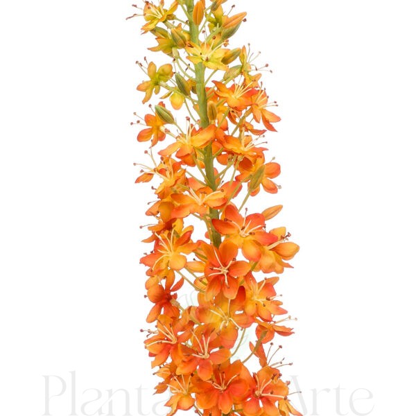 Detalle de la flor de Rama de EREMURUS NARANJA XL con flores de color blanco artificial realista de 130 cm de altura total muy realista, para decorar tus bouquets o jardineras