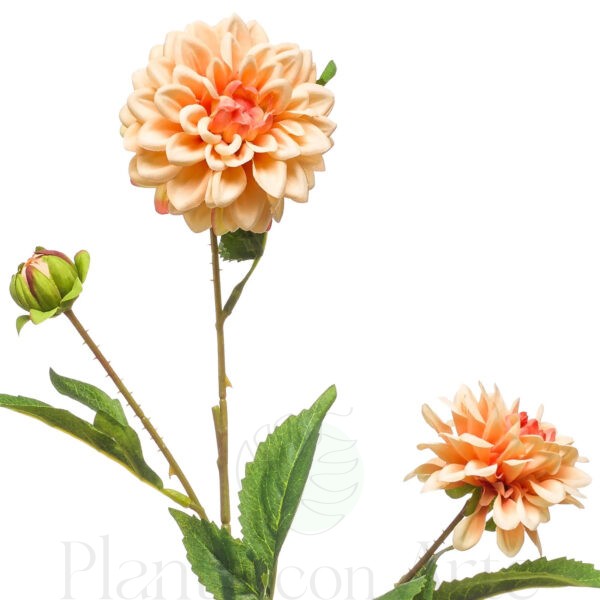 Detalle de las flores de DALIA MINI MELOCOTÓN artificial de 68 cm de altura y 17 cm de ancho, para decorar centros florales. Esta Dalia MELOCOTÓN MINI artificial muy realista apenas se diferencia visualmente de su modelo natural.