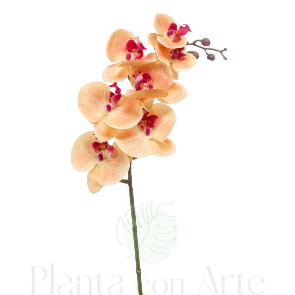 ORQUÍDEA Phalaenopsis Melocotón tacto real, realista de 83 cm de altura total realista, para decorar tus bouquets o jardineras