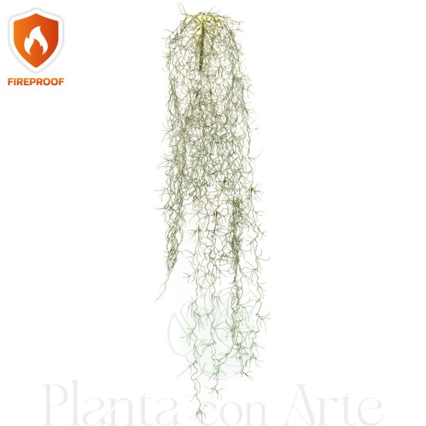 TILLANDSIA colgante IGNÍFUGA 90 cm de alto para exterior o Planta TILLANDSIA Colgante ignífuga 90cm