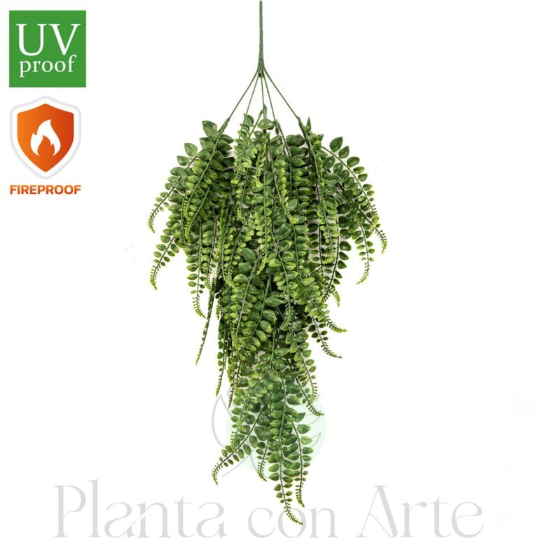 adiantum fireproof exterior colgante de 80 cm de altura