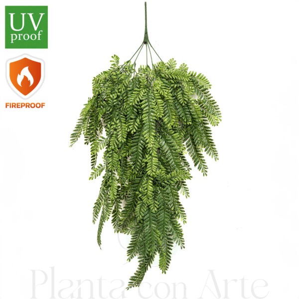 HELECHO colgante IGNÍFUGO 80 cm de alto para exterior o Planta colgante HELECHO IGNÍFUGO 80cm - arbusto colgante HELECHO ignífugo de 80 cm de altura