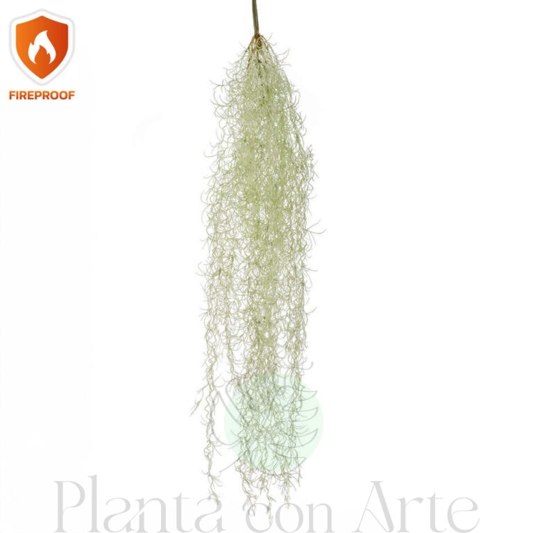 TILLANDSIA colgante IGNÍFUGA 85 cm de alto para exterior o Planta TILLANDSIA Colgante ignífuga 85cm