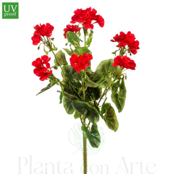 Planta de Genario rojo para exterior, de 47 cm de altura total