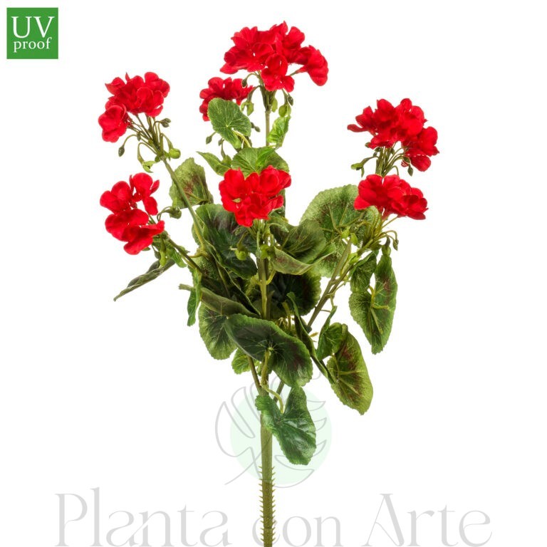 Planta de Genario rojo para exterior, de 47 cm de altura total