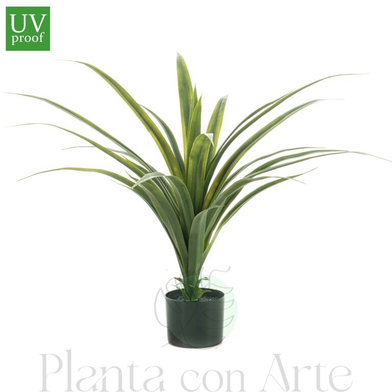 Planta DRÁCENA artificial para exterior con 80 cm de altura. Réplica de estética elegante con grandes hojas gruesas acabadas en punta. Una planta tropical espectacular para cualquier tipo de ambiente, con un alto nivel de realismo y no requiere ningún tipo de mantenimiento.