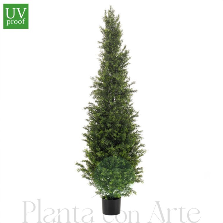 Árbol ARIZÓNICA EVO artificial, también conocido como Ciprés, de 150 cm de alto e increíble realismo el conseguido en este árbol que se fabrica en varias alturas. Incluye tratamiento específico UV para exterior