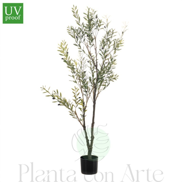 OLIVO artificial para exterior, o árbol olivo pequeño para jardín de alto realismo y máxima frondosidad de hojas, incluye aceitunas en distintos tonos y tronco de alta definición