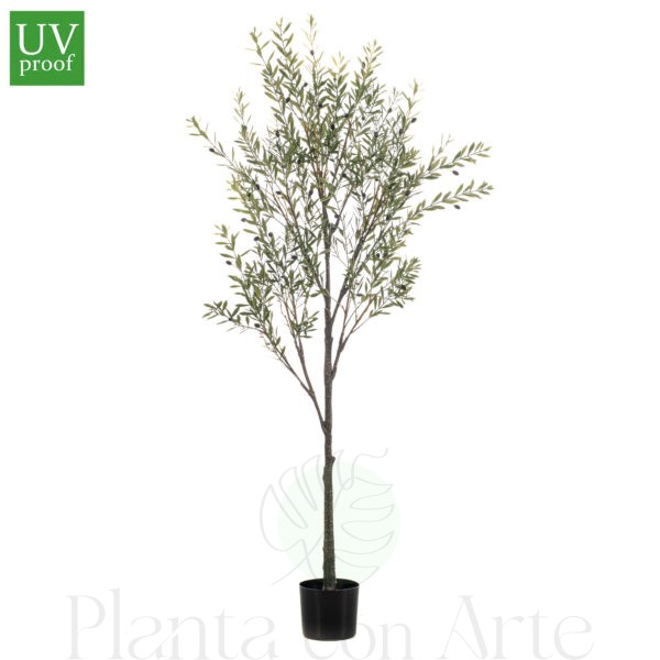 OLIVO artificial para exterior, o árbol olivo pequeño para jardín de alto realismo y máxima frondosidad de hojas, incluye aceitunas en distintos tonos y tronco de alta definición. Altura: 1,75 m