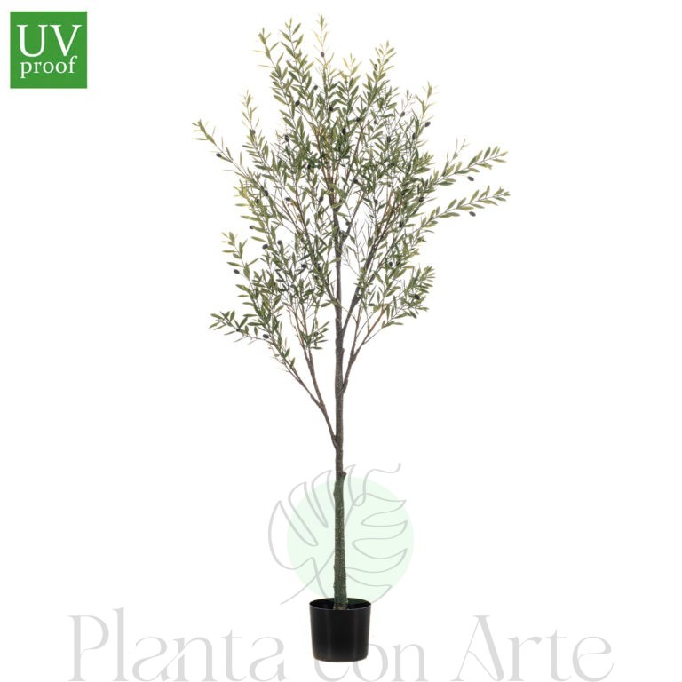 OLIVO artificial para exterior, o árbol olivo pequeño para jardín de alto realismo y máxima frondosidad de hojas, incluye aceitunas en distintos tonos y tronco de alta definición. Altura: 1,75 m