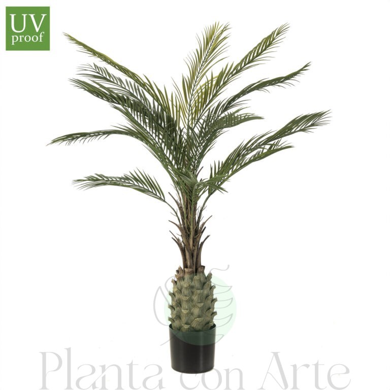 PALMERA EXOTIC artificial de exterior UV, de 150 cm de altura e increíble realismo y acabado cuidando el máximo detalle. Tiene Tratamiento UV para exterior.