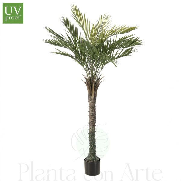 Árbol Gran PALMERA UV, de 150 cm de altura e increíble realismo y acabado cuidando el máximo detalle. Tiene Tratamiento UV para exterior.