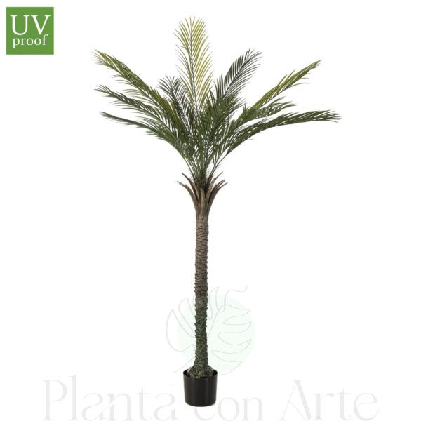 PALMERA artificial de exterior UV, de 180 cm de altura e increíble realismo y acabado cuidando el máximo detalle. Tiene Tratamiento UV para exterior., ejemplar multi tronco con revestimiento natural y ramas orientables