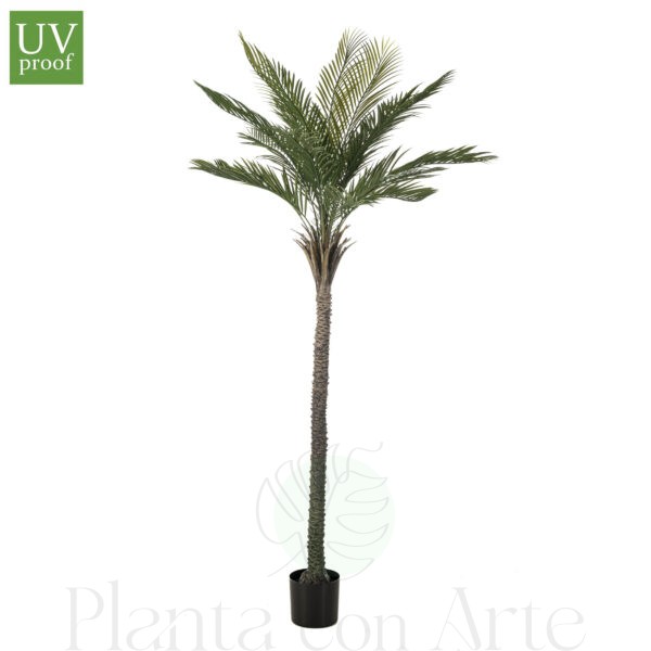 Árbol Gran PALMERA artificial de exterior UV, de gran altura e increíble realismo y acabado cuidando el máximo detalle. Tiene Tratamiento UV para exterior., ejemplar multi tronco con revestimiento natural y ramas orientables